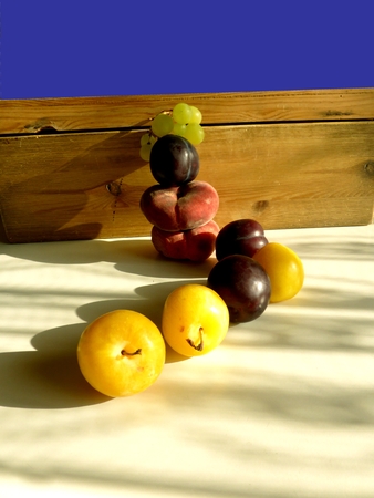 Night stupa fruits blue skyの写真素材