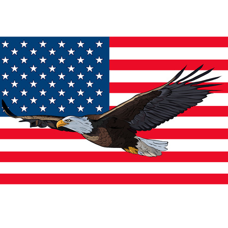 Eagle flag USAのイラスト素材