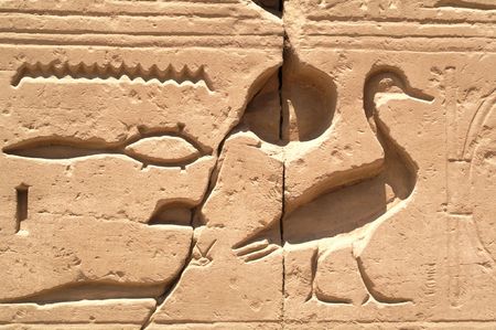 Egypt hieroglyphics in Luxorの写真素材