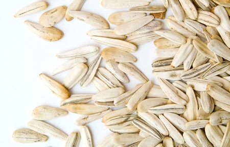 white sunflower  seed, background texturedの写真素材