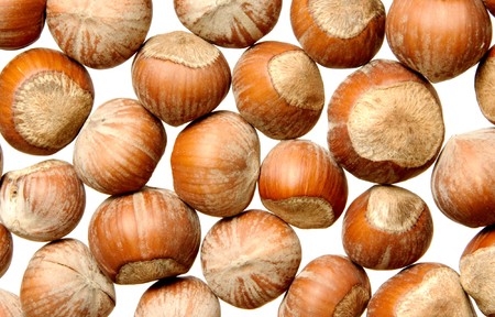 nutsの写真素材