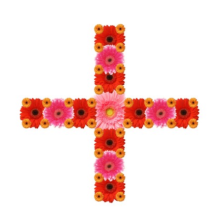 cross flowers (plus)の写真素材