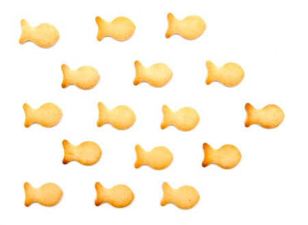 salted crackersの写真素材