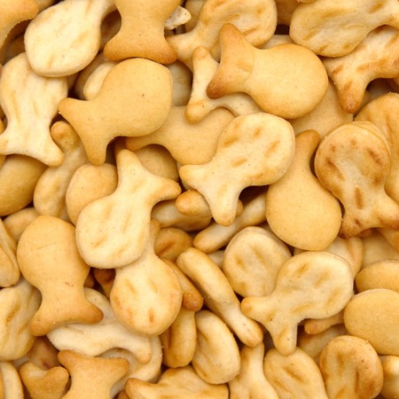 salted crackersの写真素材
