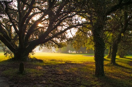 landscapeの写真素材