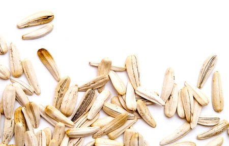 white sunflower seedsの写真素材