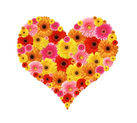 flower heart isolated on whiteの写真素材