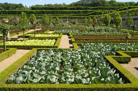 Garden in Villandry, Franceの写真素材