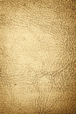 old leatherの写真素材