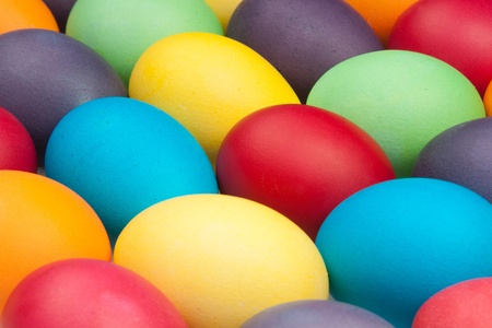 multi color eggs の写真素材