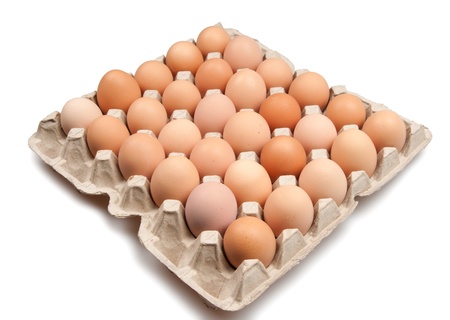many brown eggs isolated on whiteの写真素材