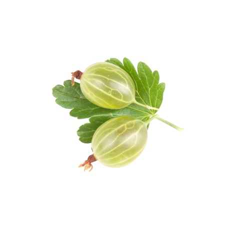 gooseberries isolated on whiteの写真素材