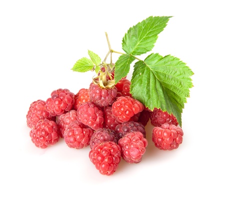raspberries isolated on white