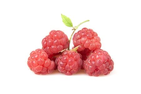 raspberries isolated on white