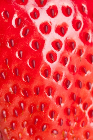 extreme macro red strawberry, backgroundの写真素材