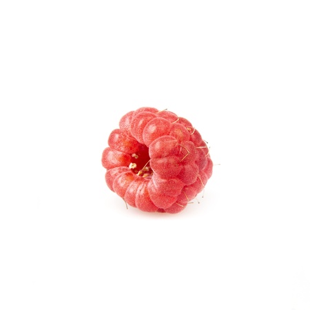 raspberry isolated on white
