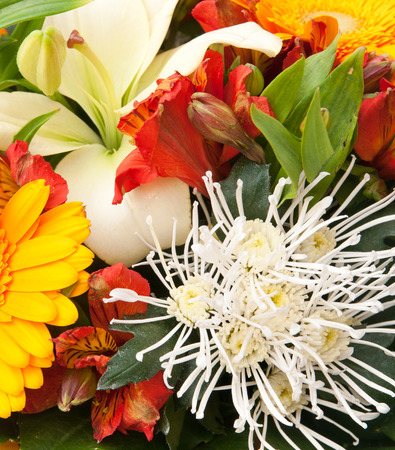 beautiful bouquetの写真素材