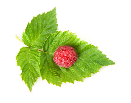 raspberry with green leaf