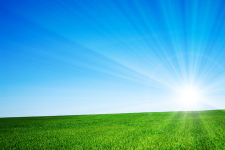 beautiful landscape, green grass, blue skyの写真素材