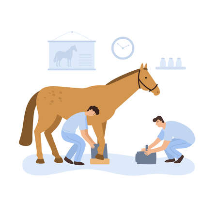 vector image of men makeing horse xrayのイラスト素材