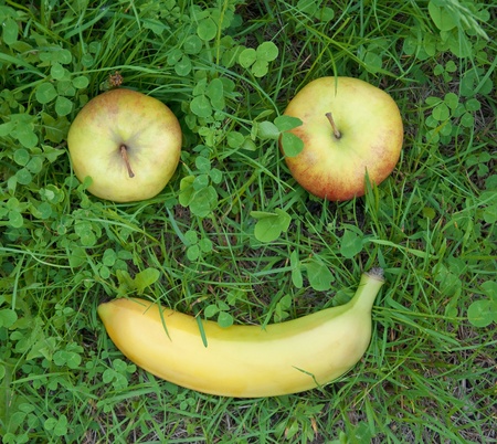 The smile on the grass and apples bananaの写真素材