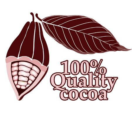 Cacao - cocoa beansのイラスト素材