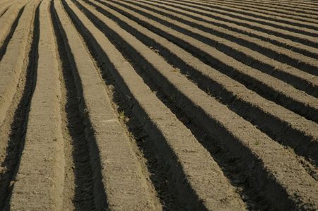 Acre patternの写真素材