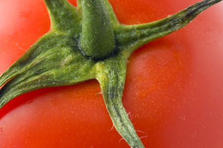 Close-up of tomatoの写真素材
