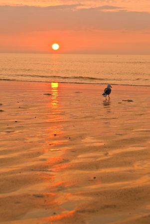 sunset and belgian beachの写真素材