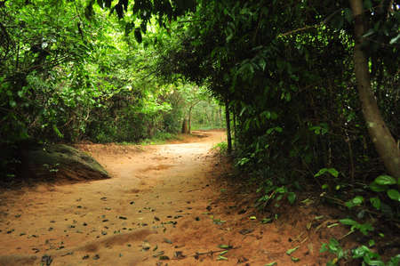 A trail in Cambodian jungles