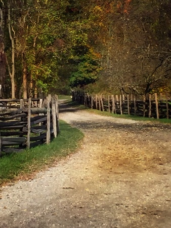 The path less traveled byの素材