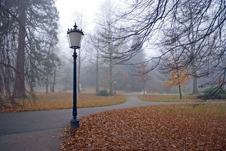 lanterns in an autumn park under the rainの写真素材