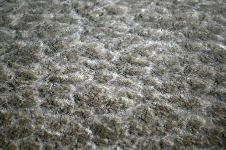 Badwater basin, Death Valley National Park, California, USAの写真素材