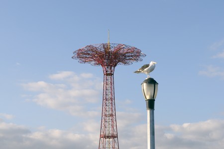 Gull on the top of lamp with parachute tower at the backgroundの写真素材