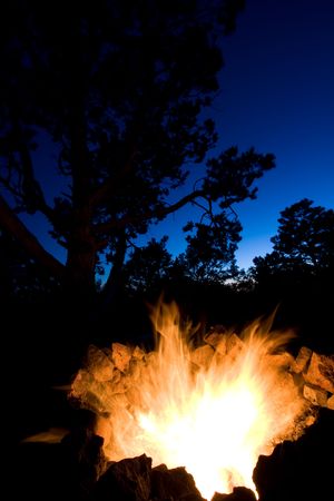 View of blazing campfire with silhouettes of trees as evening approaches.の写真素材