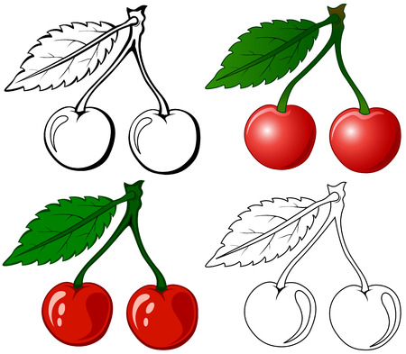 Set of Cherry on white background, illustrationのイラスト素材