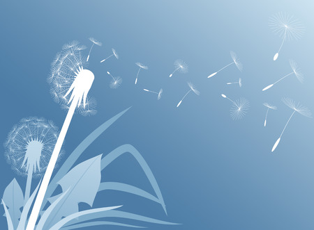 Blow Dandelion on blue background, Illustration のイラスト素材