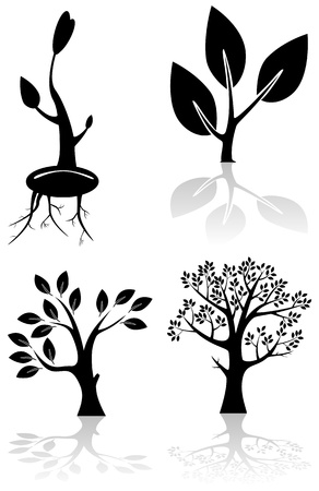 Set of black trees, illustrationのイラスト素材