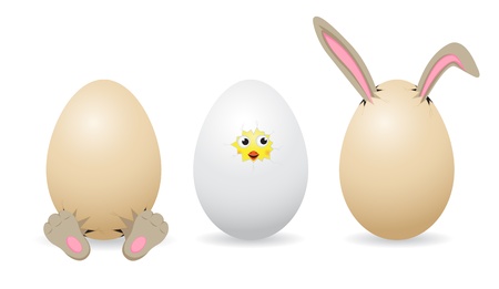 Set of amusing Easter eggs on white background, illustrationのイラスト素材
