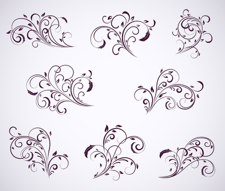 Set of floral elements for decor, Illustrationのイラスト素材