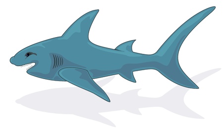 Shark isolated on white background, illustration.のイラスト素材