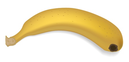 Ripe banana isolated on white background, illustrationのイラスト素材