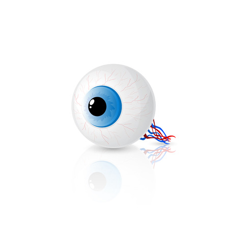 Blue eye isolated on white background, illustration.のイラスト素材