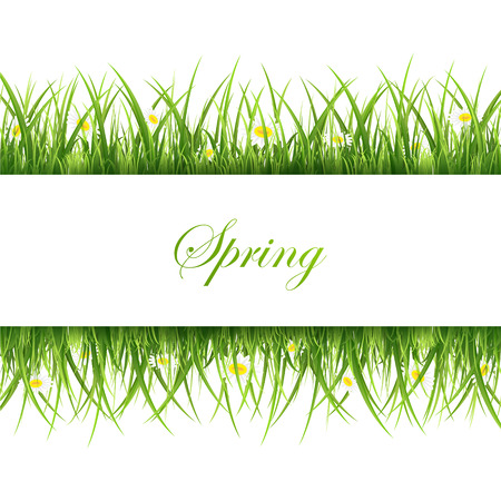 Banner with green grass and flowers on white background, illustration.のイラスト素材