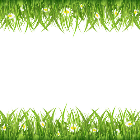 Green grass and flowers on white background, illustration.のイラスト素材