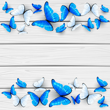 blue and white butterflies on wooden , illustration.のイラスト素材