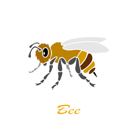 bee icon isolated on white , illustration.のイラスト素材