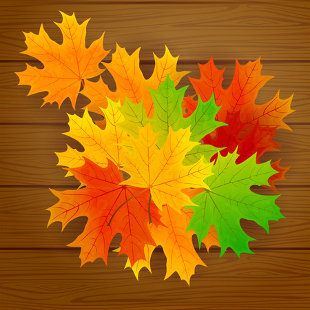 Set of maple leaves on wooden background, illustration.のイラスト素材