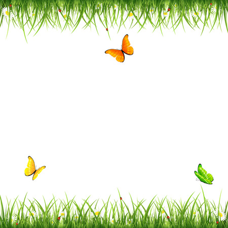 Frame from green grass with flowers, flying butterflies and ladybugs on white background, illustration.のイラスト素材