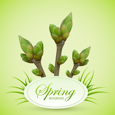 Spring twigs with buds and grass on green background, illustration.のイラスト素材